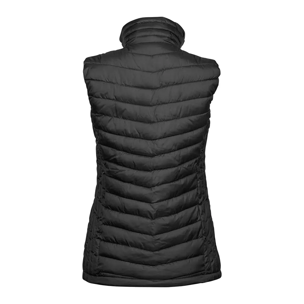 Väst Tjänsteman Dam