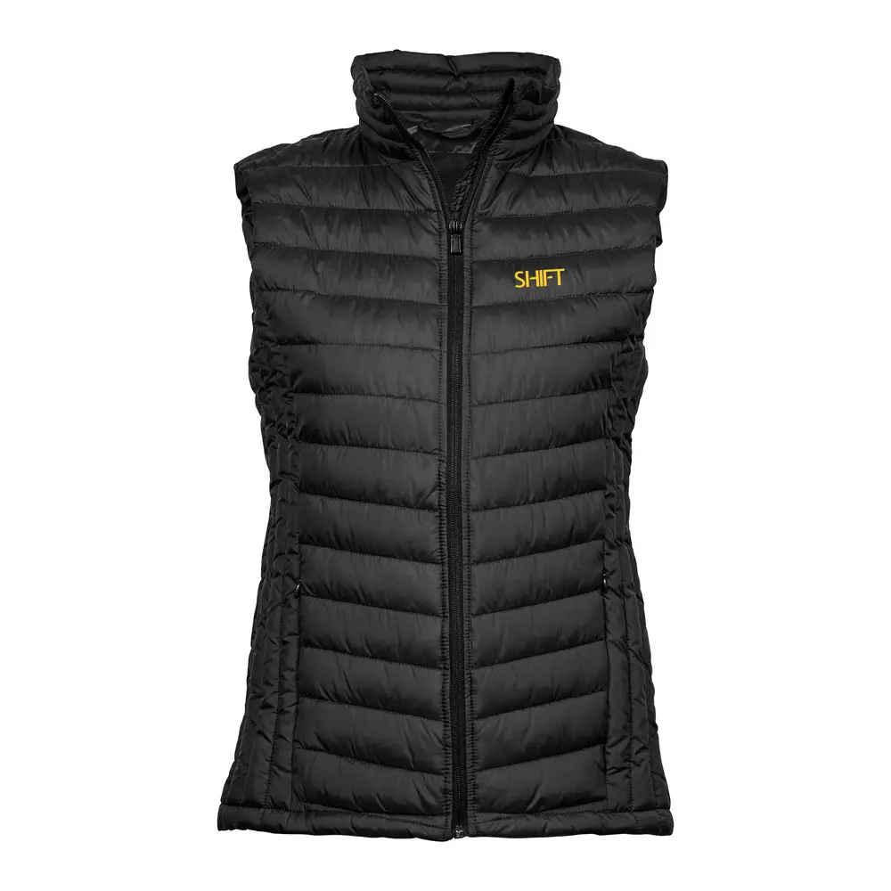 Väst Tjänsteman Dam