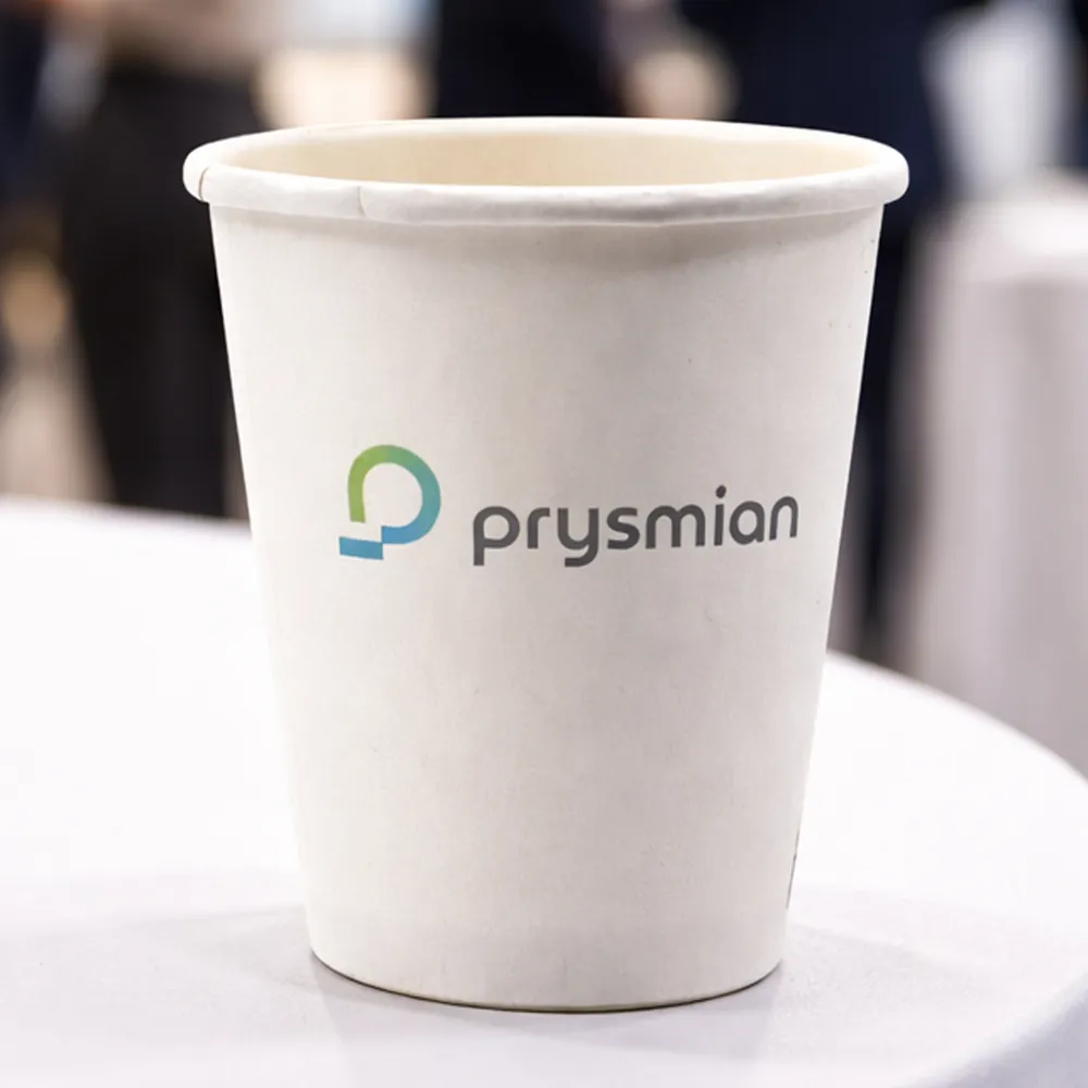 Pappersmugg, 100-pack, vit, 4kr/st