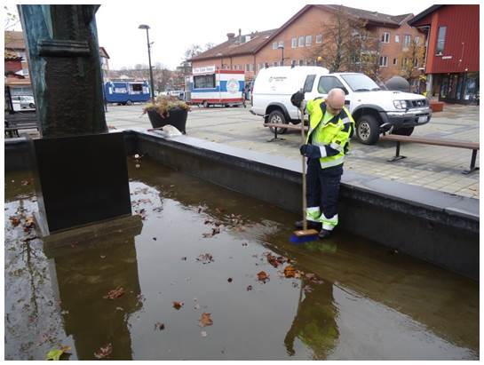 Skötsel av dammar