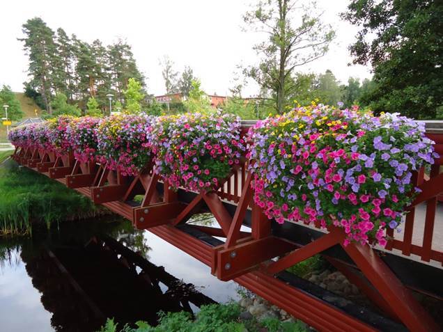 Sommarblomsterarrangemang