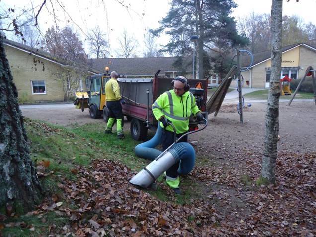 Borttagning av löv på kommunens områden