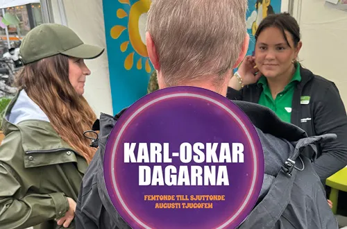 bild för artikeln