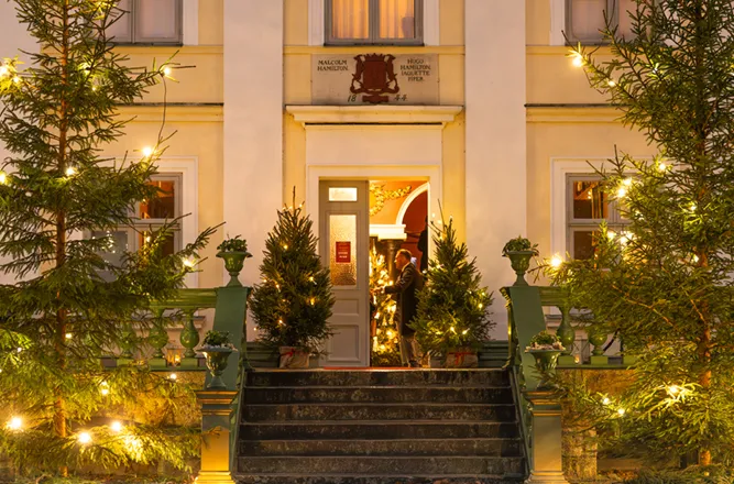 en bild som passar till innehållet i artikeln