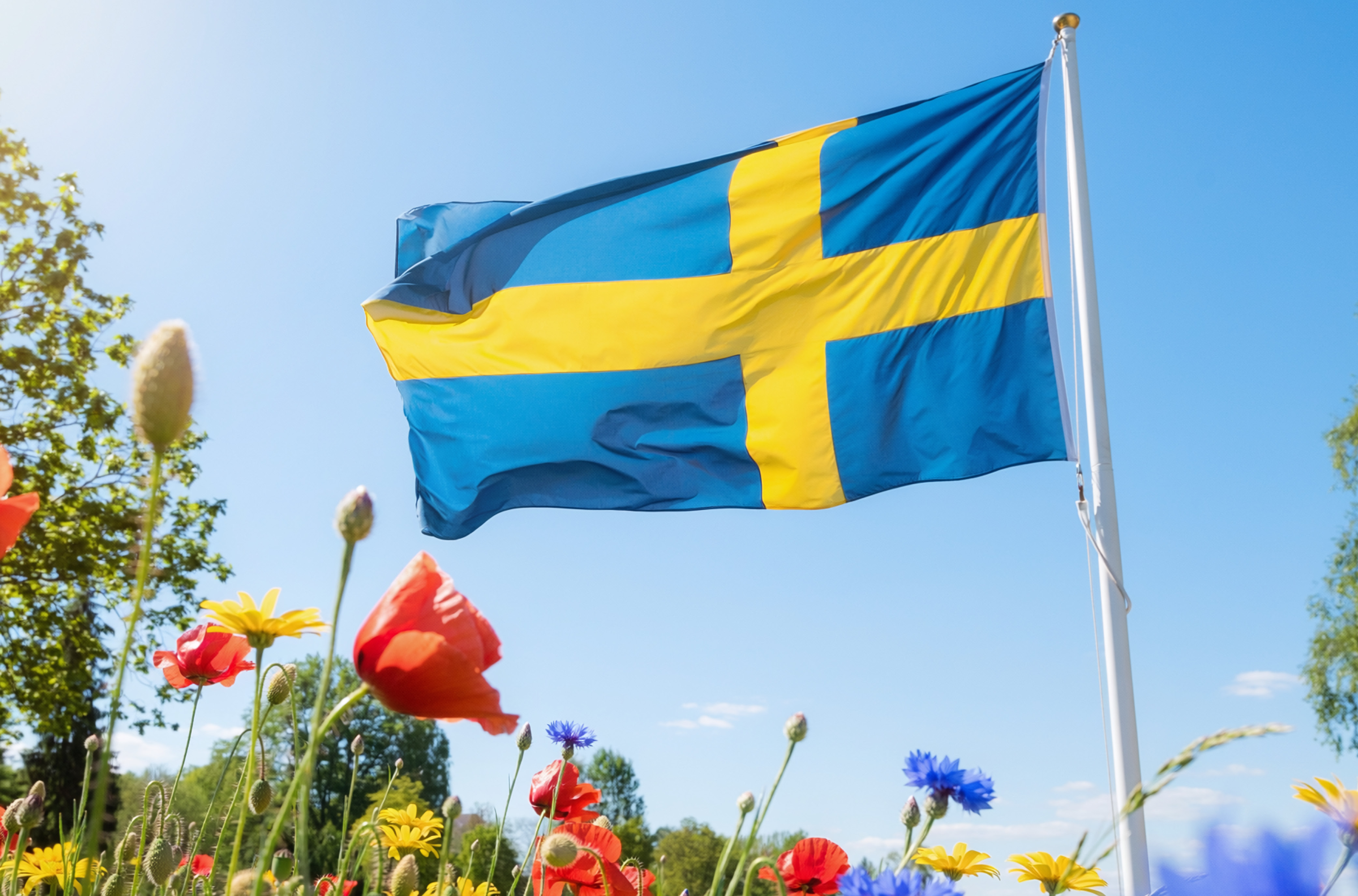 en bild som passar till innehållet i artikeln