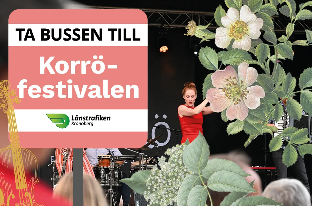 en bild som passar till innehållet i artikeln