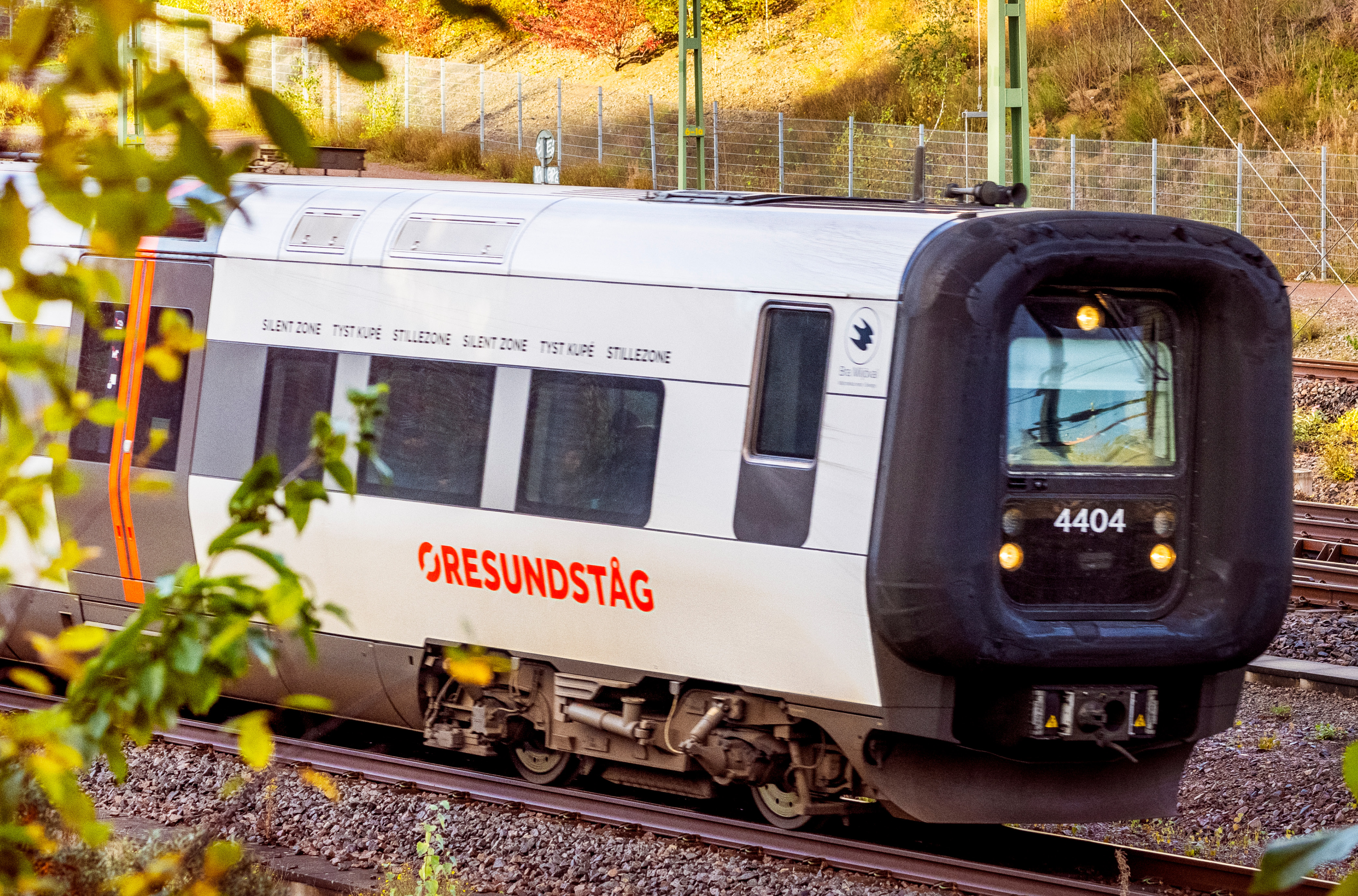 bild för artikeln