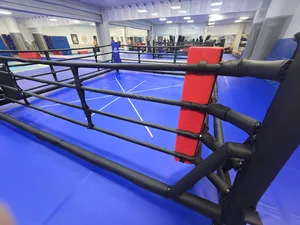 Budo-Nord Foldable Boxing Ring