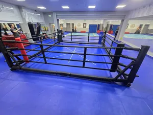 Budo-Nord Foldable Boxing Ring