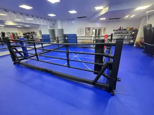 Budo-Nord Foldable Boxing Ring