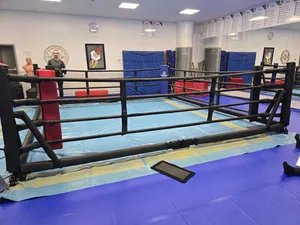 Budo-Nord Foldable Boxing Ring
