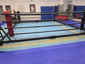 Budo-Nord Foldable Boxing Ring