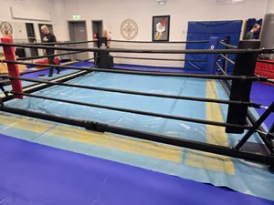Budo-Nord Foldable Boxing Ring
