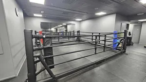 Budo-Nord Fight Gear Foldable Boxing Ring