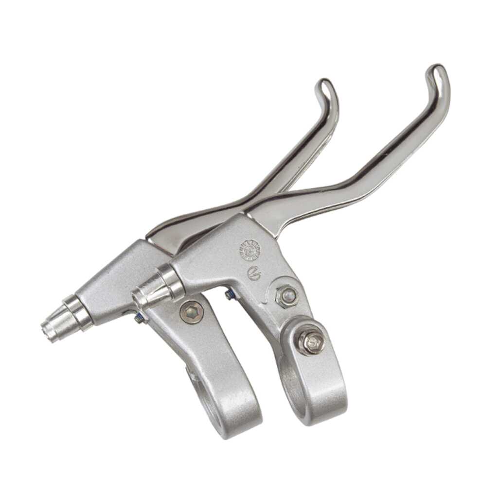 Bromshandtag par, silver