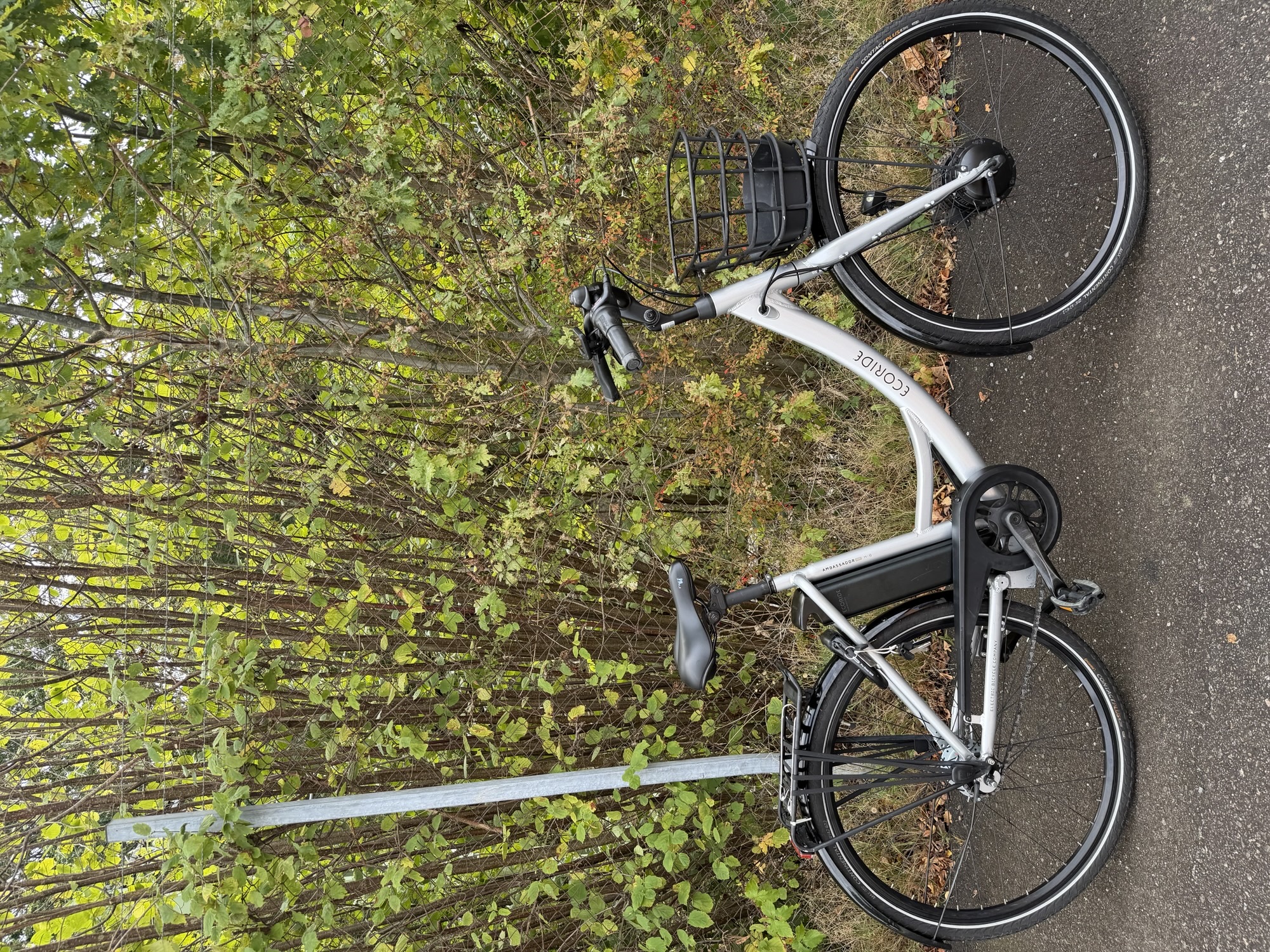 Ecoride Ambassadör 8 elcykel 