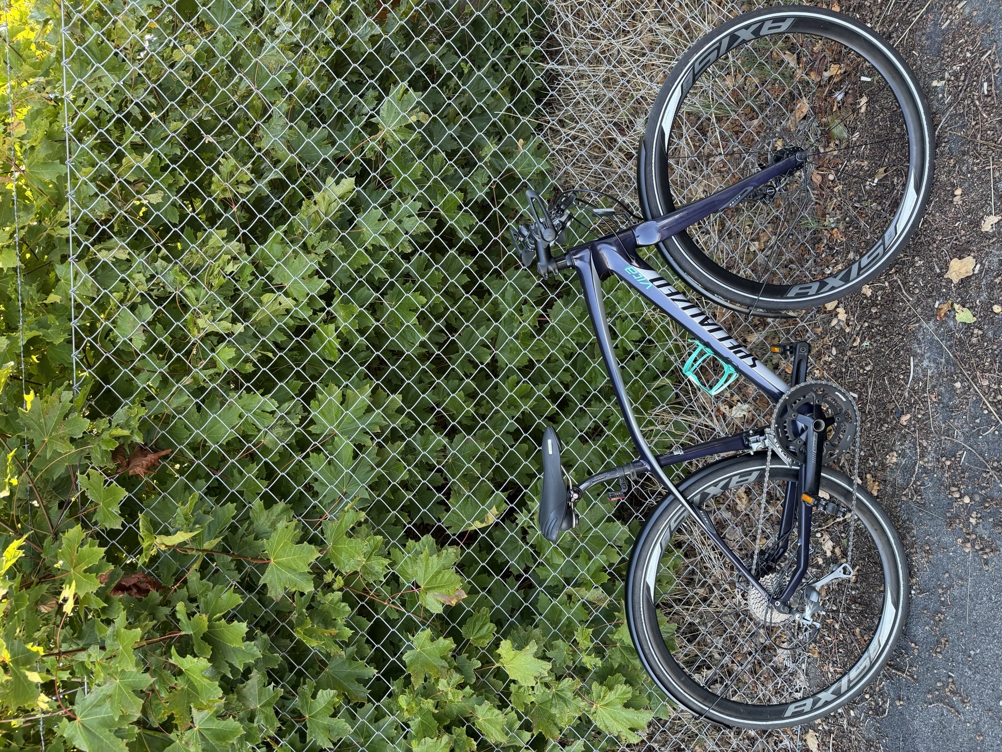 Specialized Vita Comp Carbon
