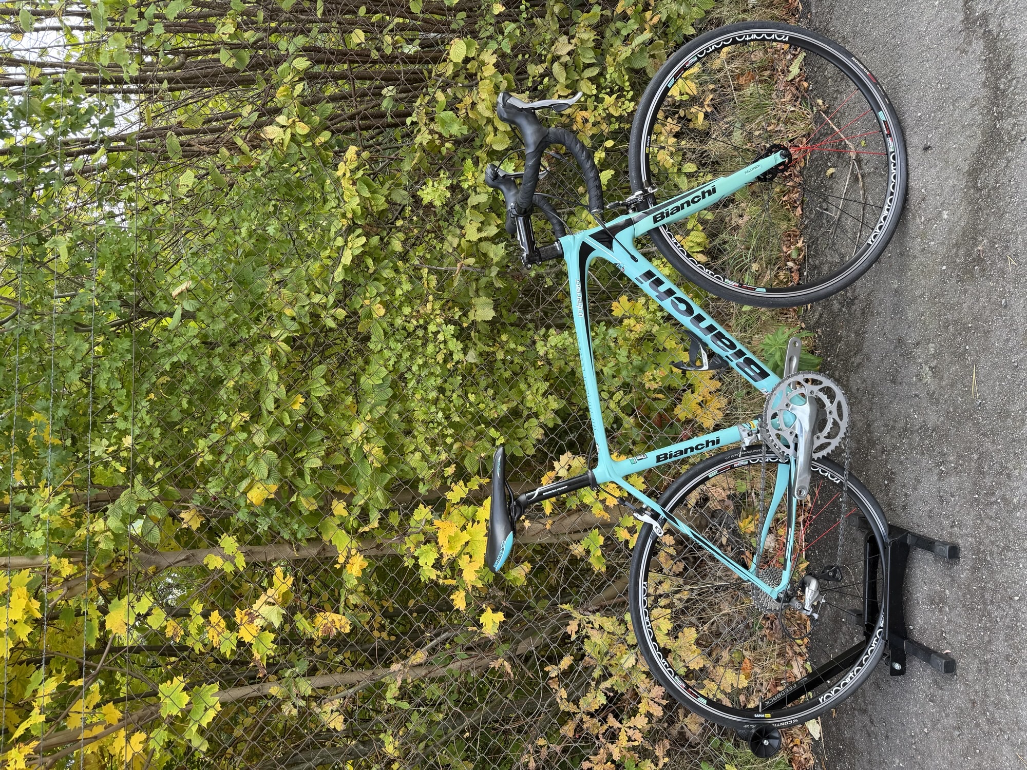 Bianchi Intenso 105/Tiagra 55cm 