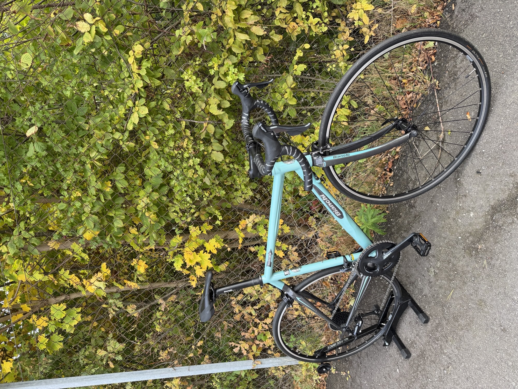 Bianchi Freccia Celeste Alu/carb 