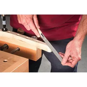 Flat Rasp 25 X 250mm Axm-Rider