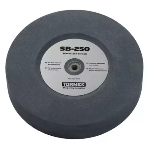 Blackstone Silicon