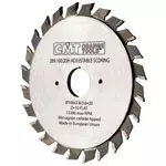 Ritsklinga rak D120 Z12+12 d20 skärbredd 2,8-3,6 TB