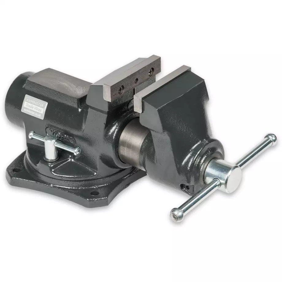 Axminster Professional Skruvstycke 100mm