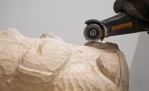 Arbortech Mini Pro Blade (50mm)