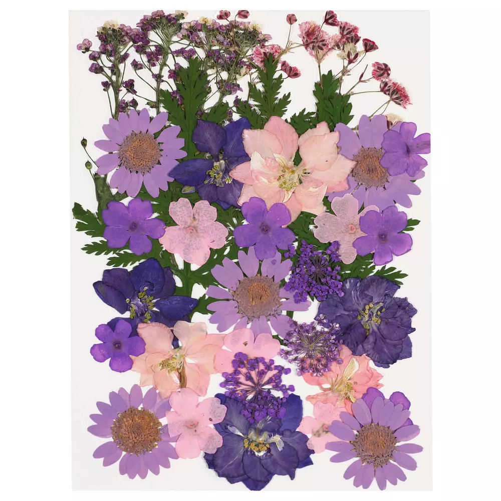 Blommor Torkade/Pressade 35-pack (för bord m.m.)