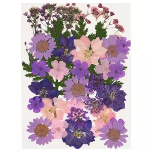 Blommor Torkade/Pressade 35-pack (för bord m.m.)
