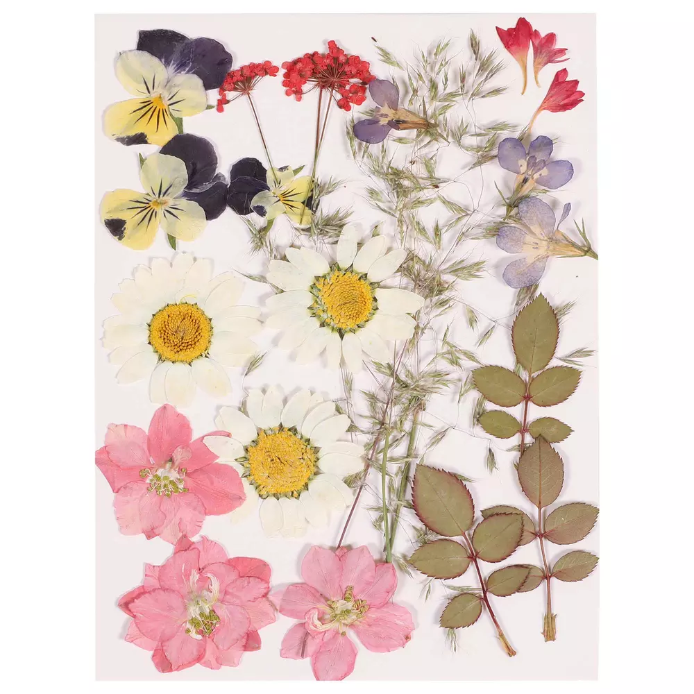 Blommor Torkade/Pressade 24-pack (för smycken m.m.)