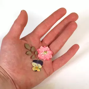 Blommor Torkade/Pressade 24-pack (för smycken m.m.)