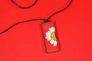 Blommor Torkade/Pressade 24-pack (för smycken m.m.)