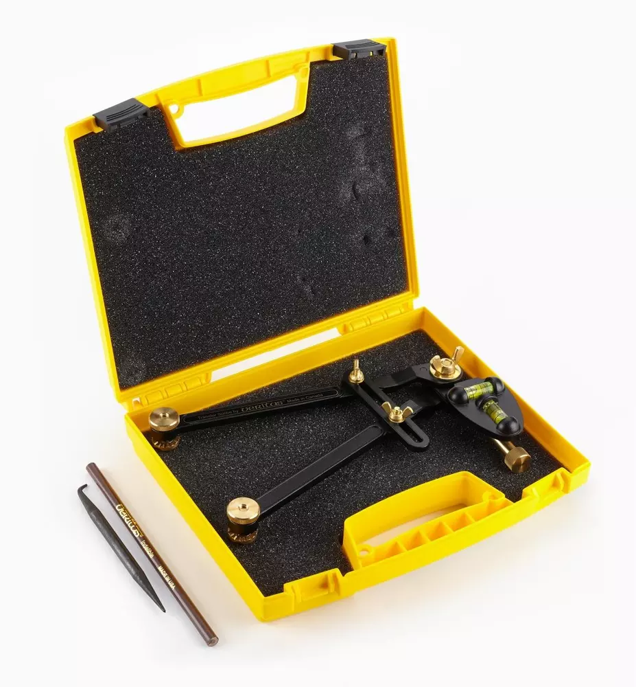 Veritas® Log Scribe »Scriber« Dictum®