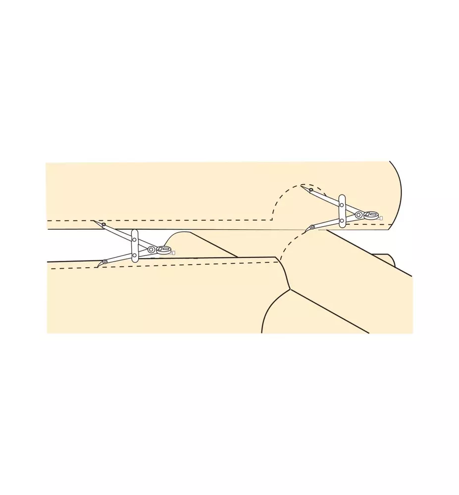 Veritas® Log Scribe »Scriber« Dictum®