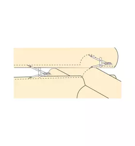 Veritas® Log Scribe »Scriber« Dictum®