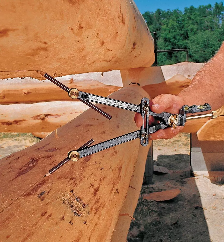 Veritas® Log Scribe »Scriber« Dictum®