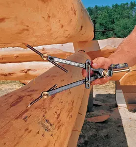 Veritas® Log Scribe »Scriber« Dictum®