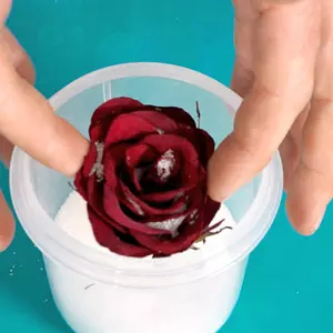 CrystalDry Slica för torkning av blommor 2KG