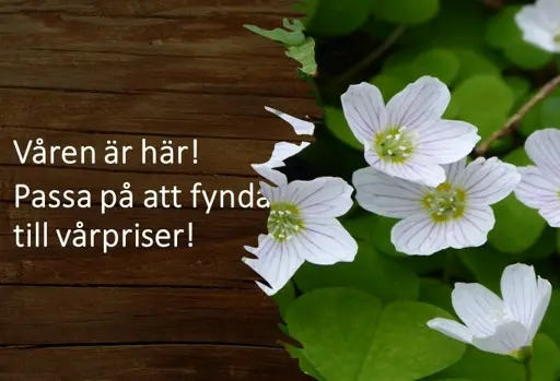 Vårkampanj
