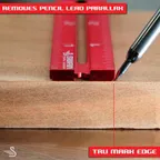 MERLIN Plan Multivinkel