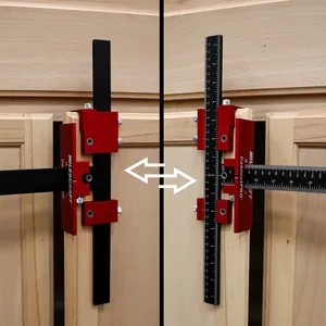 Cabinet Pro Borrjigg