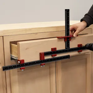 Cabinet Pro Borrjigg