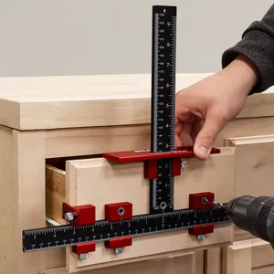 Cabinet Pro Borrjigg