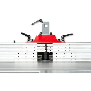 Axminster Professional  AP200SM Spindelfräs 230v (EU)