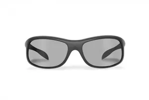Bertoni Eyewear P545FTS Photochromic Polarized