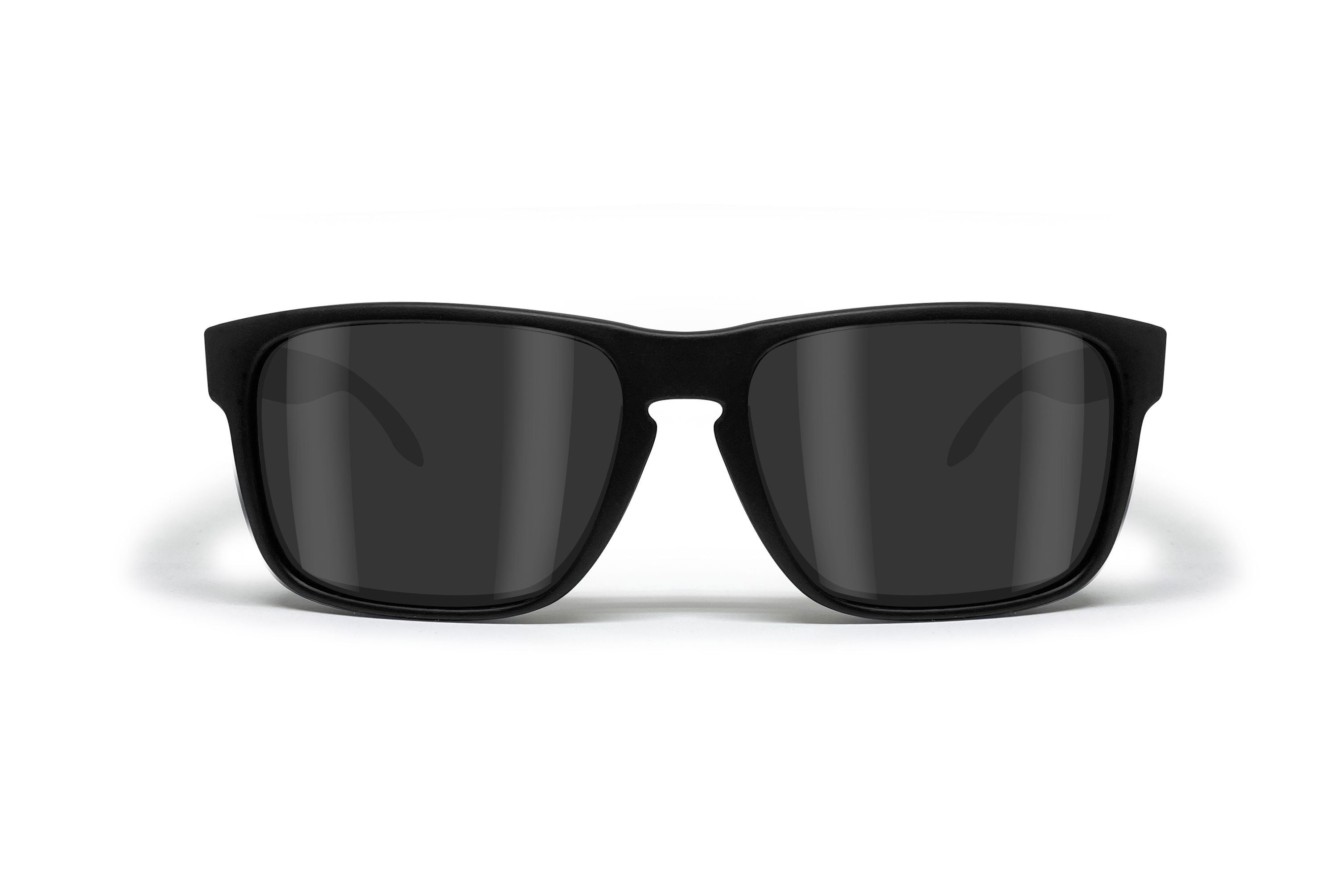 Bertoni Eyewear ROGER 01 black/smoke