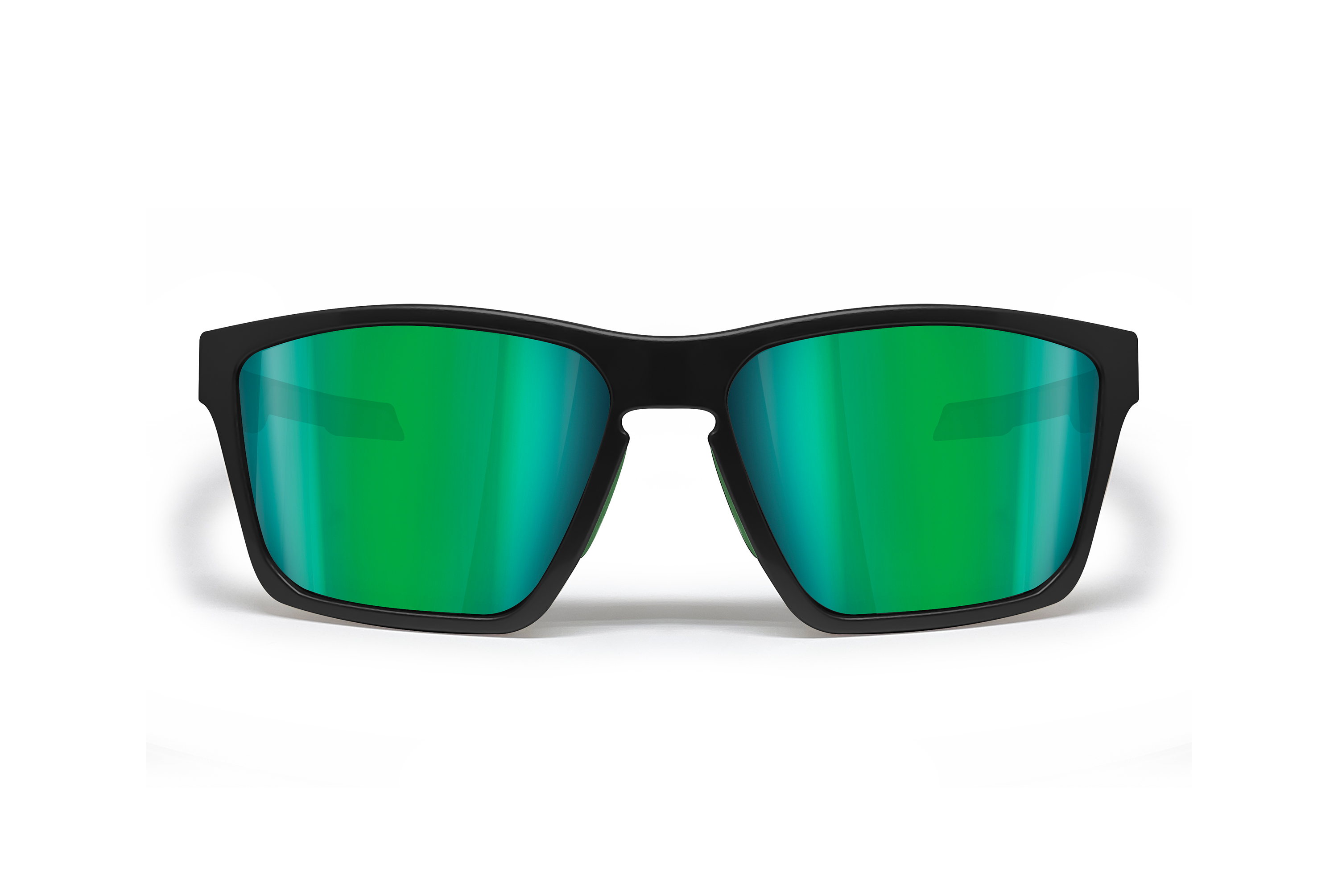 Bertoni Eyewear FULVIO 04 black/green