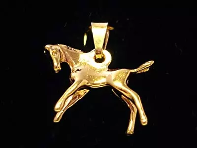Hästföl 18K 180126H