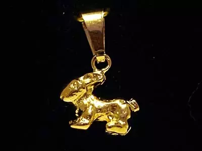 Kanin 18K 180129H